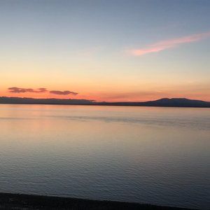 Meet your Posher, Maya